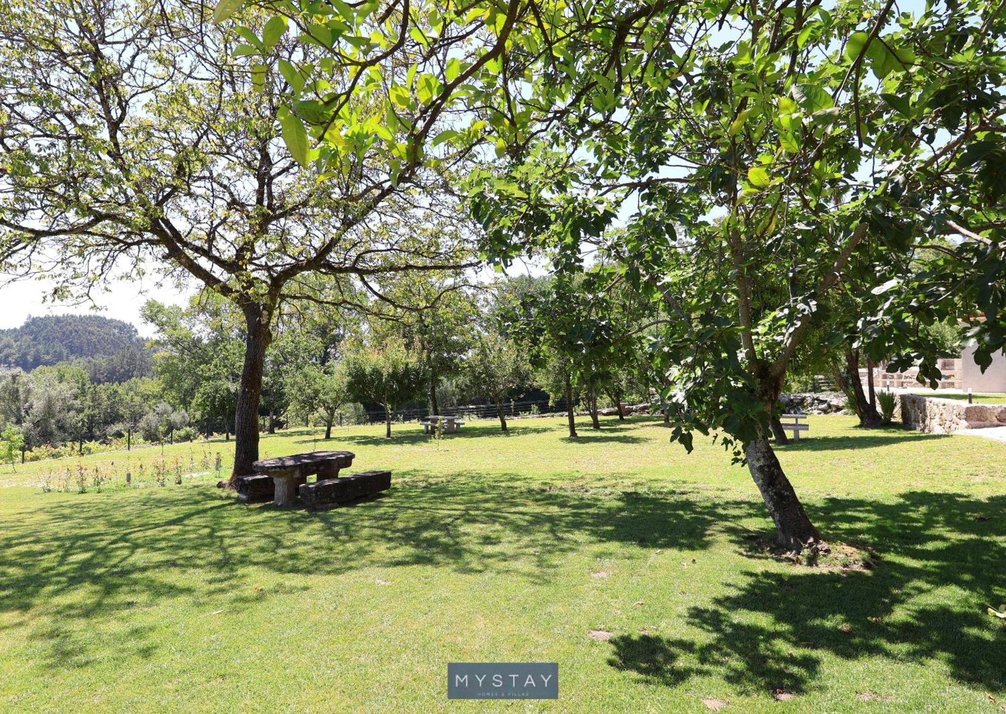 Mystay - Casa D'Henrique วีเอย์รา ดู มีโญ ภายนอก รูปภาพ